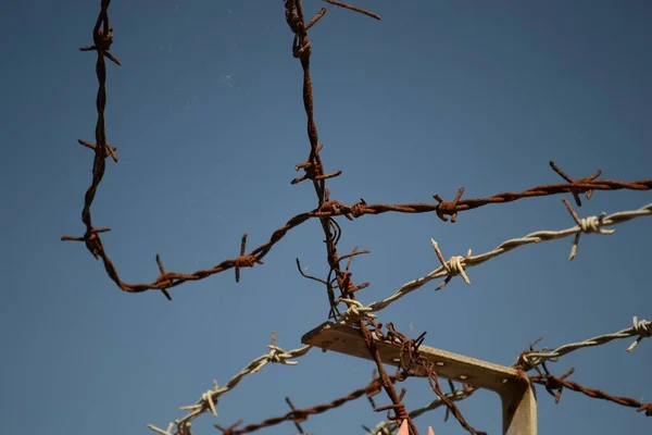 青い空の背景に対する有刺鉄線のフェンスの閉鎖 — ストック写真