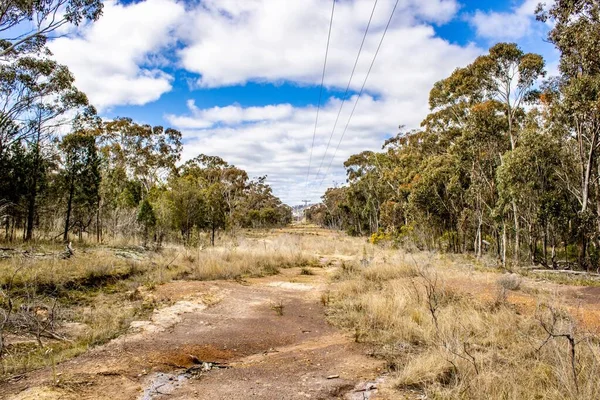 オーストラリア ニューサウスウェールズ州エマビルの農村部の乾燥したブッシュランドと湿地の近くの道路 — ストック写真