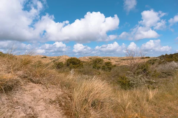 Vacker Utsikt Över Ameland Sanddyner Med Blå Himmel Och Vackra — Stockfoto
