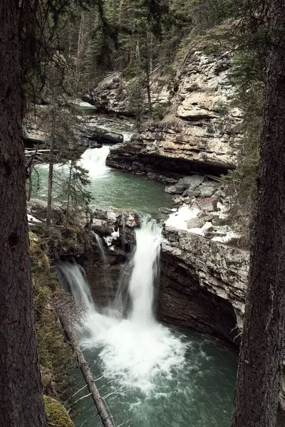 Piękne Pionowe Ujęcie Wodospadu Płynącego Głębi Lasu Banff Canada — Zdjęcie stockowe