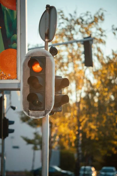 Egy Függőleges Sekély Fókuszfelvétel Közlekedési Lámpáról Piros Lámpával Tetején — Stock Fotó