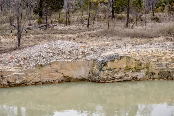 Nice Little Lake Cloudy Day — Stock Photo, Image