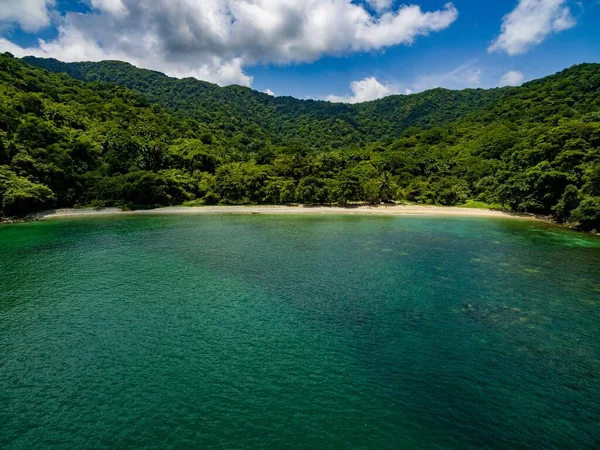 Caribbean Beach Located Unesco North East Tobago Man Biosphere Reserve — Stock Photo, Image