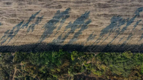 Een Luchtfoto Van Groene Bomen Zandveld — Stockfoto