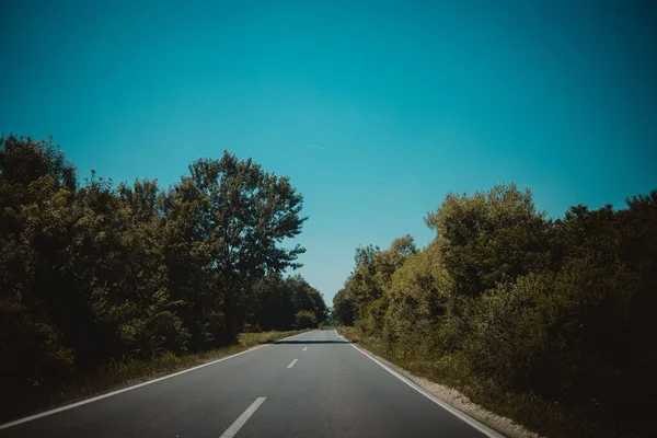 Asphalt Road Nature — Stock Photo, Image