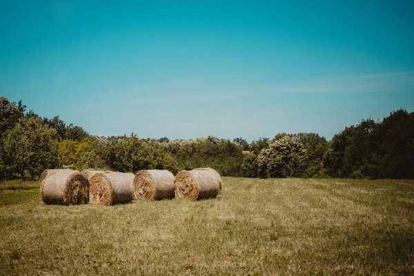 阳光明媚的时候 在农村地区堆放干草的田野 — 图库照片
