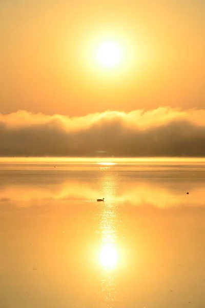 一张美丽落日的垂直照片映照在湖上 湖上有一只鸭子 — 图库照片