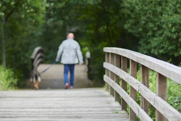 Puente Parque Suave Enfoque Con Hombre Caminando Con Perro Fondo —  Fotos de Stock