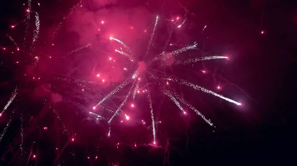 Beautiful Shot Bright Fireworks Night Sky — Stock Photo, Image