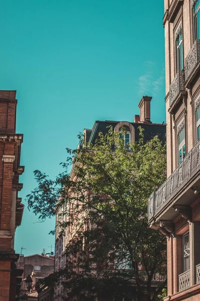 Tiro Vertical Vários Edifícios Lado Uma Árvore Capturada Durante Dia — Fotografia de Stock