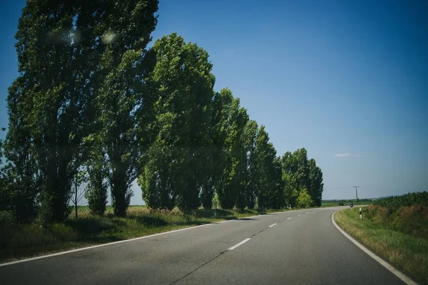 Yeşil Ağaçlarla Dolu Bir Arazide Uzun Bir Asfalt Yol — Stok fotoğraf