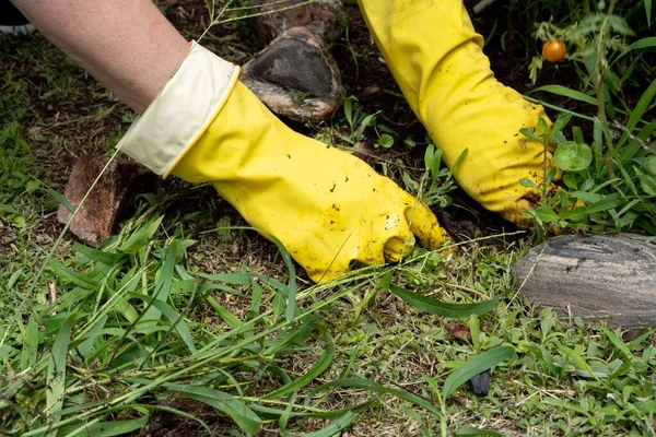 Closeup Shot Person Working Garden Wearing Yellow Gloves — Stock Photo, Image