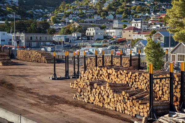 Piles Pine Logs Await Export Port Lyttelton Christchurch New Zealand — Stock Photo, Image