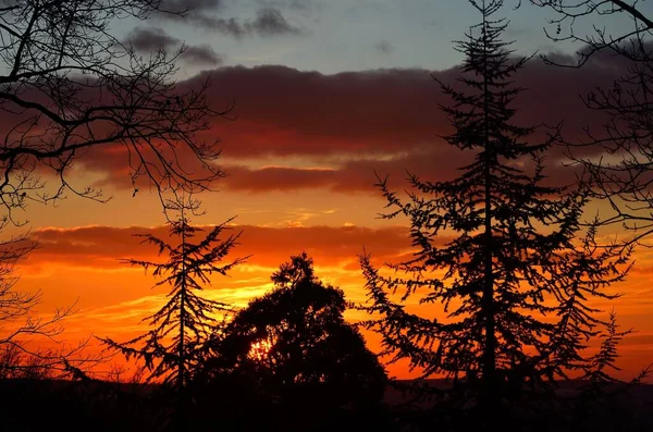 Een Silhouet Uitzicht Van Bomen Tegen Bewolkte Schemering Lucht — Stockfoto