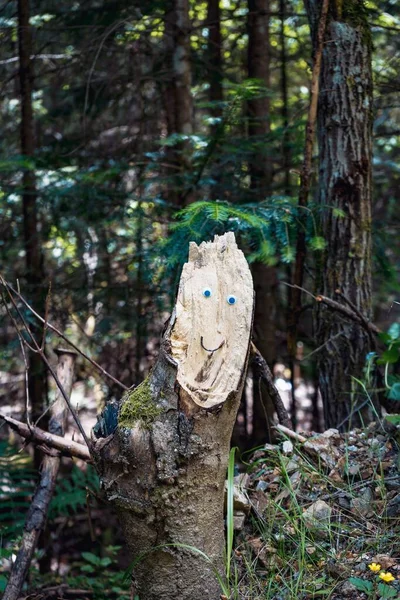 Colpo Verticale Ceppo Albero Con Una Faccia Felice Esso Una — Foto Stock