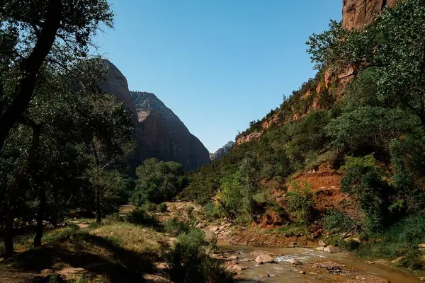 Landscape Giant Cliffs Trees Sunny Day — Stock Photo, Image