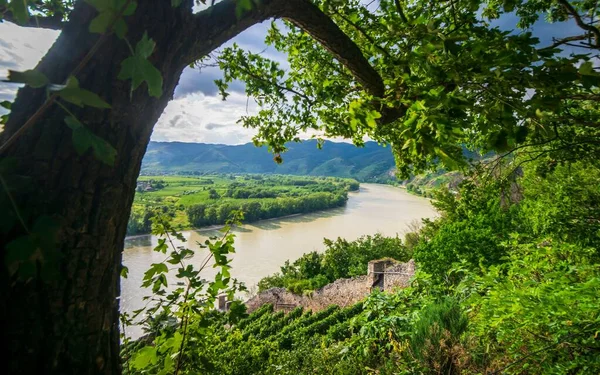 Uma Vista Rio Que Flui Através Das Montanhas Áustria — Fotografia de Stock