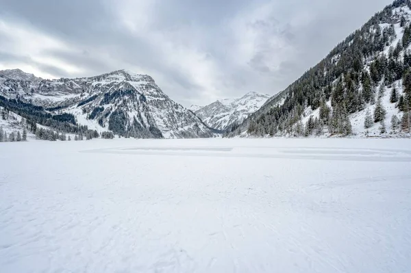 Ett Vinterlandskap Med Snöiga Berg Och Vintergröna Träd — Stockfoto