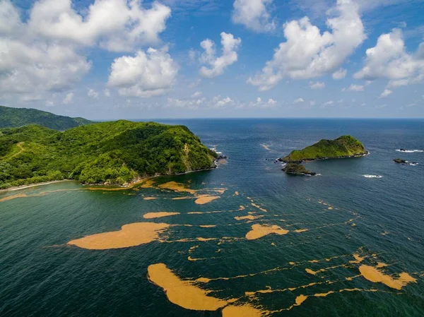 Φυκιών Πλησιάζει Παραλία Εντός Της Unesco Βορειοανατολικά Τομπάγκο Man Και — Φωτογραφία Αρχείου