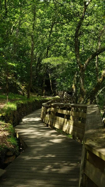 Ένα Κάθετο Πλάνο Της Περιοχής Πεζοπορίας Paiva Walkways Στην Πορτογαλία — Φωτογραφία Αρχείου