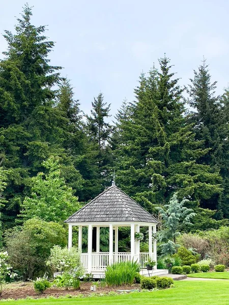 Tiro Vertical Gazebo Madeira Parque Com Abetos Fundo — Fotografia de Stock