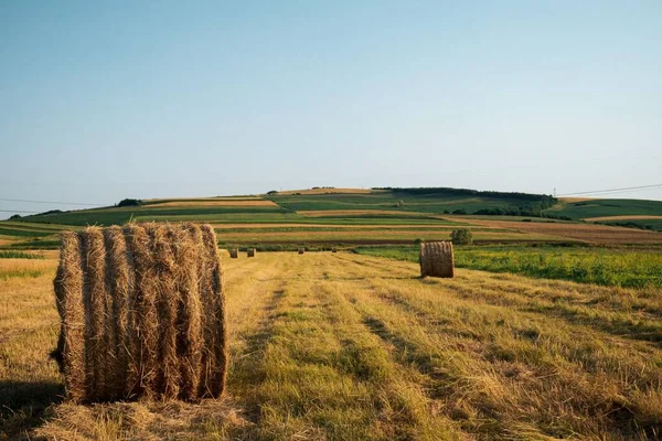 Una Vista Panorámica Del Campo Segado Fardos Paja Después Cosecha —  Fotos de Stock