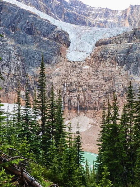 Fondo Vertical Hermosa Naturaleza Con Abetos Acantilado Fondo Cielo Gris —  Fotos de Stock