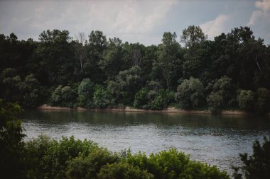 Sakin bir göl ve bulutlu bir gökyüzünün altında sık bir orman manzarası.