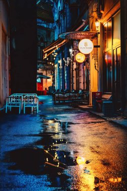 Bükreş 'teki Mekke Pasajı neon sokak ışıkları ve gece yağmur suyuyla