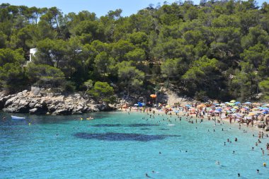 Ibiza 'da güzel, berrak bir sahil. Arka planda yeşil ağaçlar ve tatilde dinlenen insanlar var.