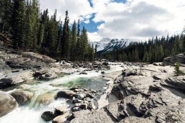 Jasper, Kanada 'da karla kaplı dağlarla ve çam ağaçlarıyla çevrili bir nehir.