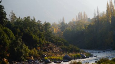 Norveç, Oslo 'da ağaçların arasından akan bir nehrin sakin manzarası