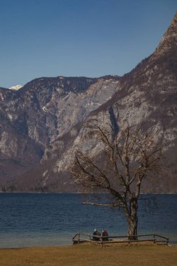Slovenya 'daki Bohinj Gölü kıyısında oturan bir çiftin dikey çekimi