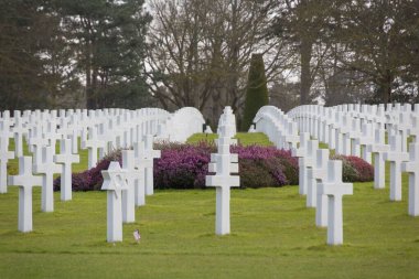 Fransa 'da ölen askerlerin anısına beyaz haçlı Normandiya Amerikan Mezarlığı.