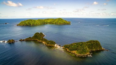 Tobago, Trinidad ve Tobago 'daki Keçi Adası ve Küçük Tobago, Batı Hint Adaları Karayipleri. UNESCO 'nun Kuzeydoğu Tobago Man ve Biyosfer Rezervinde.