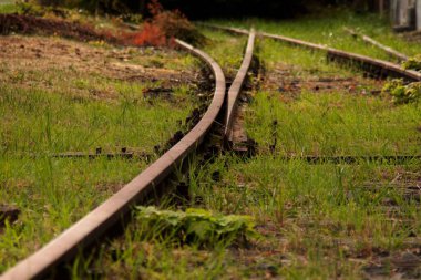 Üzerinde ot büyüyen boş bir demiryolu.