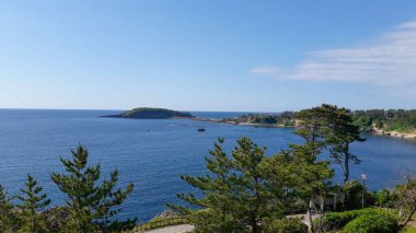 Japonya 'da güneşli bir günde Kuzey Fukui Bölgesi' nde güzel bir Tojinbo manzarası.