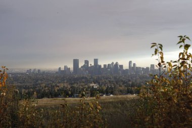 Kanada, Calgary 'deki Nose Hill parkından bulutlu bir günde şehir manzarası