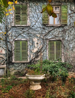 Bükreş 'in merkezinde eski bir evin güzel bir cephesi