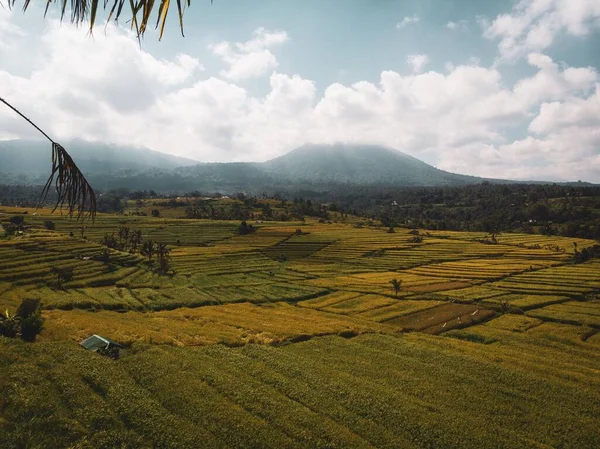 Los Campos Arroz Con Montañas Fondo Bali Indonesia — Foto de Stock