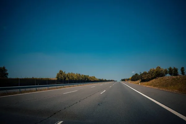 Una Strada Asfaltata Tra Gli Alberi — Foto Stock