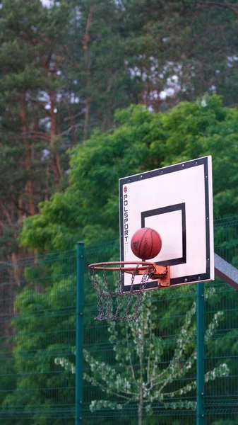 Una Palla Basket Che Rimbalza Cerchio Con Uno Sfondo Foresta — Foto Stock