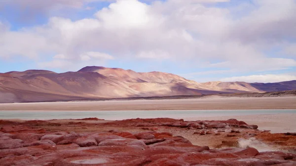Atacama Çölü Nden Bir Manzara San Pedro Atacama Şili Yakınlarındaki — Stok fotoğraf