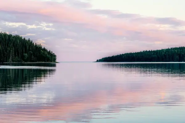 Pembe Günbatımında Ormanla Yansıtan Güzel Bir Göl Manzarası — Stok fotoğraf