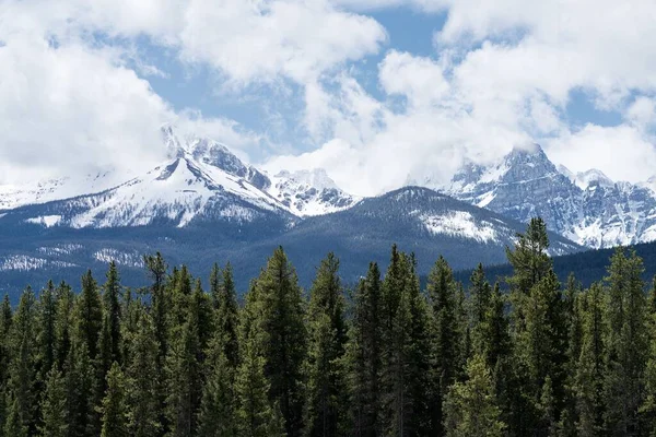 Una Vista Panorámica Montaña Nevada Con Pinos Primer Plano Banff —  Fotos de Stock