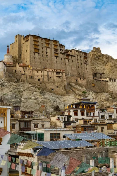 Een Verticaal Schot Van Leh Palace Leh Ladakh India — Stockfoto