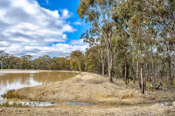 Torra Buskar Och Träsk Landsbygden Emmaville New South Wales Australien — Stockfoto