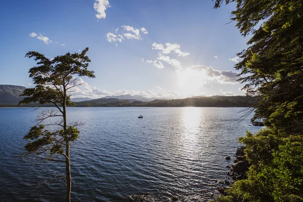 Una Bella Scena Lago Tra Gli Alberi Catturati Durante Alba — Foto Stock