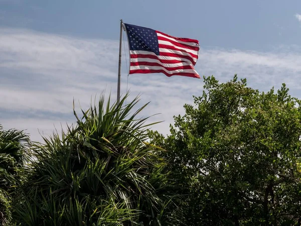 Флаг Сша Размахивающий Над Зелеными Деревьями Пальмами Голубым Небом Позади — стоковое фото