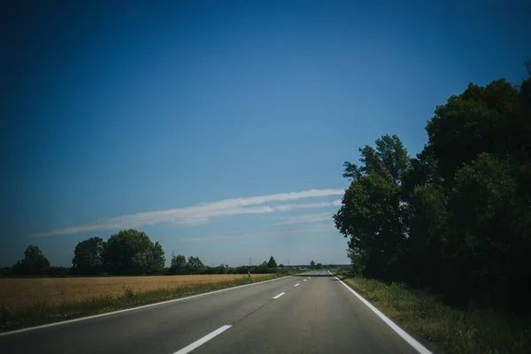 Une Route Asphaltée Travers Les Arbres — Photo